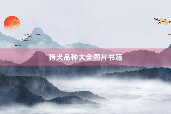猎犬品种大全图片书籍
