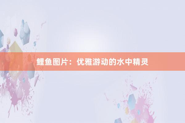 鲤鱼图片:优雅游动的水中精灵